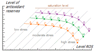 Cell proliferation at different oxidative levels