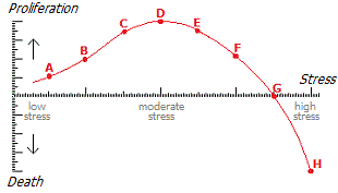 Cell response to oxidative stress