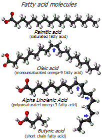 Fatty acid molecules