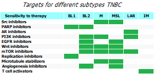 Targets for difference subtypes TNBC