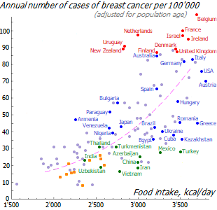 Relationship between breast cancer and caloric intake
