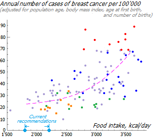 Adjusted association of breast cancer incidence with dietary energy intake
