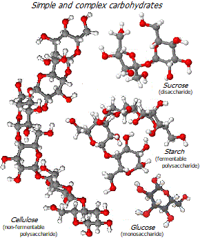 Molecules of carbohydrates