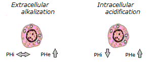 Acid-base correction