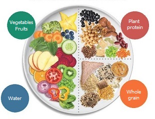 The structure of the daily diet