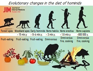 The evolution of the human diet