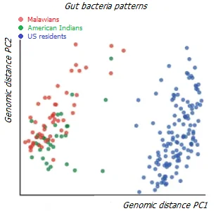 Diversity of intestinal microflora in residents of different regions