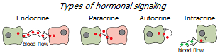 Types of hormonal signaling