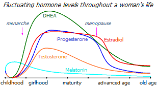 Hormone levels throughout a woman's life