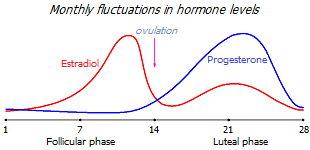 Estradiol and progesterone cycles