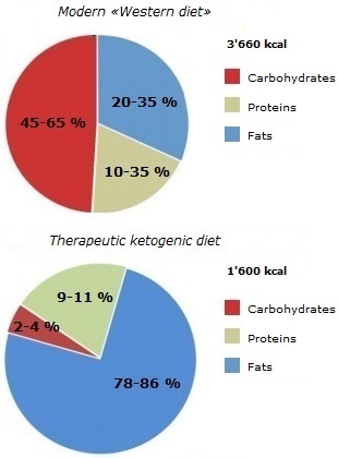 Comparison of traditional and ketogenic diet