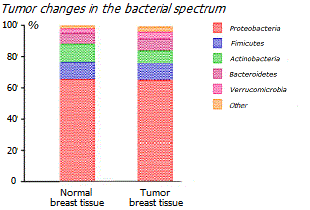Microflora of normal and tumor tissue