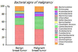 Microflora of benign and malignant tumors