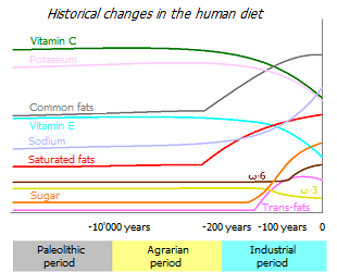 Evolutionary changes in human nutrition