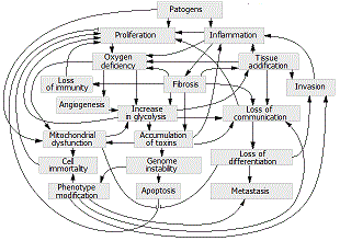 Metabolic pathways of carcinogenesis