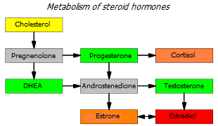 Estrogen precursors