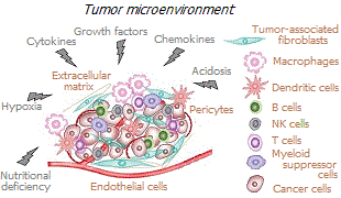 Tumor microenvironment