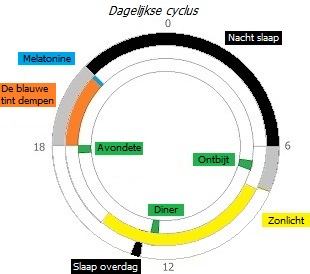 Dagelijkse cyclus