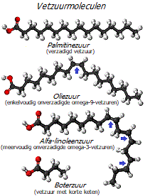 Vetzuurmoleculen