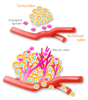 Angiogenese