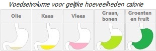 Volume van hetzelfde caloriegehalte van verschillende voedingsmiddelen