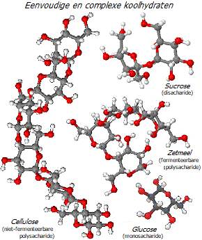 Koolhydraatmoleculen