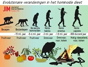 Evolutie van het menselijke dieet