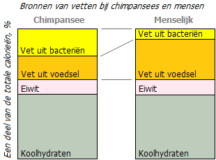 Lokaal:geïmporteerde vetverhouding