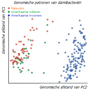 Diversiteit van darmmicroflora bij inwoners van verschillende regio's