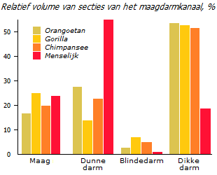 Vergelijking van de darmen van primaten