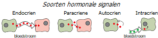 Soorten hormonale signalering