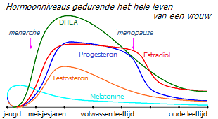 Hormoonniveaus gedurende het leven van een vrouw