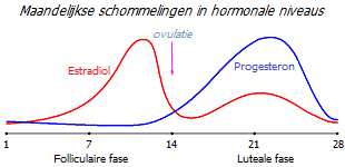 Estradiol- en progesteroncycli