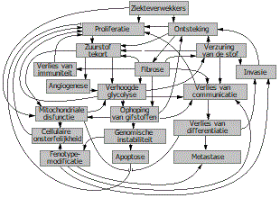 Metabole routes van carcinogenese