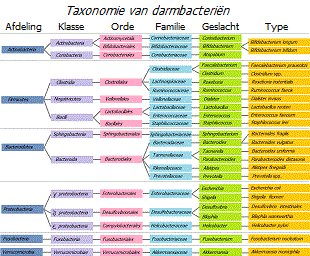 Classificatie van darmbacteriën