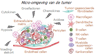 Micro-omgeving van de tumor