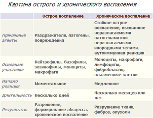 Характеристики острого и хронического воспаления