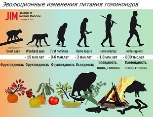 Эволюция диеты человека