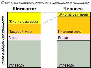 Соотношение местный:импортный жир