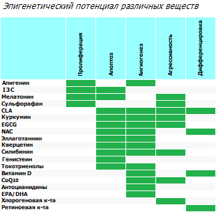 Влияние питательных веществ на характеристики раковой клетки