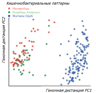 Разнообразие кишечной микрофлоры у жителей различных регионов