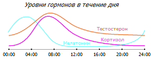 Колебания уровня гормонов в течение суток