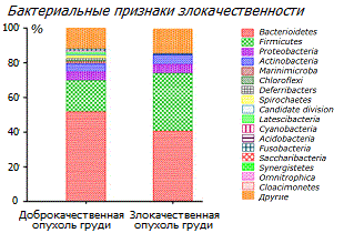 Микрофлоры доброкачественной и злокачественной опухолей