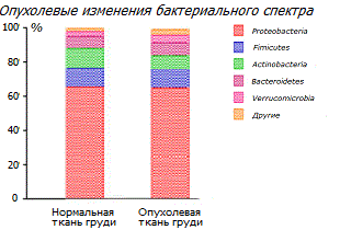 Микрофлоры нормальной и опухолевой ткани