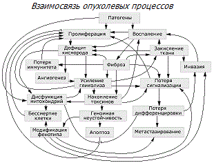 Метаболические пути канцерогенеза