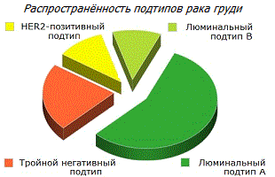 Подтипы рака молочной железы